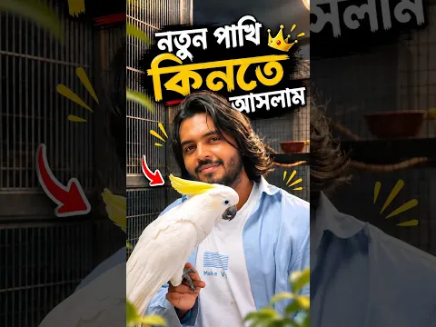ছাদের জন্য নতুন একটা পাখি নিতে এসেছি কিন্তু প্রেমে পড়ে গেছি কাকাতুয়া পাখির #doggosage
