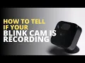Download Lagu How to Tell if Blink Camera is Recording: Easy Trick!