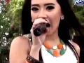 Download Lagu RENA KDI OM MANATA MAWAR TANGAN MELATI DI PELUKAN