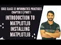 Introduction to Data Visualization Installing Matplotlib Class 12 IP Chapter 3 Part 1 In Hindi