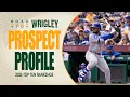 Top 10 Cubs Prospects REVEALED Road to Wrigley