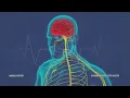 ★Autonomic Nervous System Booster★ (Deep Healing Music) (w/ Rose Quartz Healing)