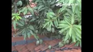 angin malam vetty vera