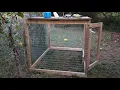 Game fowl pen ideas and upgrades