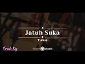 Download Lagu Jatuh Suka – Tulus KARAOKE AKUSTIK - FEMALE KEY