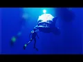 Download Lagu Creepy Thalassophobia Animations (LIGHTS ARE OFF)