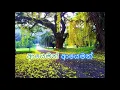 Adare katu satahan ape  ( Lyrics Song ) Nalinda Ranasinghe