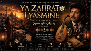     يا زهرة الياسمين     نوري كمال بصوت وإحساس  السعودية   الإمارات العربية المتحدة   قطر   الكويت دندنها