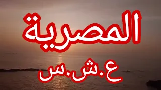 حكاية حياة المصرية 