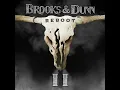 Believe (with Jelly Roll) (feat. Jelly Roll) - Brooks & Dunn