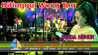 Download DITINGGAL WONG TUA || CITRA NADA LIVE SEDEKAH LAUT \u0026 REUNI NAHKODA || MUARAREJA (BRUG ABANG) - TEGAL MP3