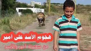 مسلسل عيلة فنية   أمير والأسد   حلقة     هجوم الأسد                                          دندنها