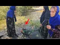 Download Lagu 😱 DRAMATIC RIVER RESCUE: Brave Woman Saves Elderly From Drowning | Real Life Hero 🆘