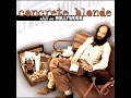 Concrete Blonde - Joey Acoustic Live (Rare Version)