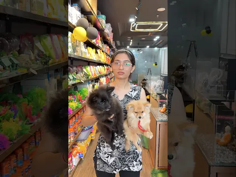 Dost ke sath kya hua?🐶💀 #suspense #shorts