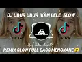 DJ UBUR UBUR IKAN LELE SLOW FULL BASS VIRAL TIKTOK 2022