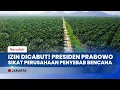 Lagu Negara Ambil Alih! 4 Juta Hektar Kebun Sawit Ilegal Disita Satgas PKH Atas Perintah Prabowo