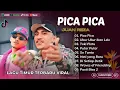 Download Lagu PICA PICA - Juan Reza | UBUR UBUR IKAN LELE | TOKI PINTU | PUTAR PUTAR | LAGU TIMUR VIRAL TIKTOK