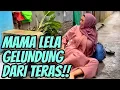 SUSI HAMIL TUA DITENDANG TAKIM !!!