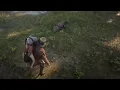 Alligator Attack Red Dead Online Best Bits Hat Films Clips