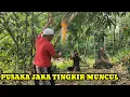 Lagu KERIS JAKA TINGKIR MUNCUL