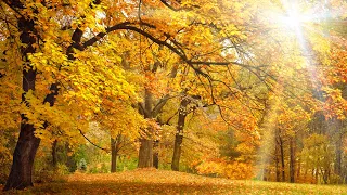 Great Is Thy Faithfulness (Instrumental) peaceful sunrise series Hymn arranged by Tim Janis