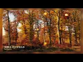 MIKE OLDFIELD - To France (2016 Remaster)