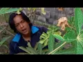 Download Lagu Risal firsyah cover rock(orang yang salah)KARAOKE