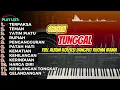 ORGEN TUNGGAL DANDGUT FULL ALBUM RHOMA IRAMA HITS 2025