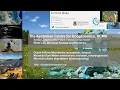 Genome-based taxonomy and phylogenomics Christian Rinke