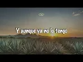 Vicente Fernández - De Qué Manera Te Olvido (Letra/Lyrics)