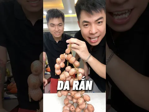Cho Hải Đăng ăn thử quả da rắn trên rừng - | Đàm Đức Review