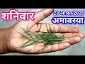 Download Lagu 23 अगस्त शनिवार के दिन🤫जरूर कर लेना यह एक काम बदल जाएगी आपकी किस्मत धन-धान्य आपके जीवन में बरसेगा