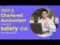 Chartered Accountant Salary in 2025 CA Salary Insights Trends