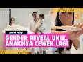 Download Lagu Potret Gender Reveal Unik Ala Nona Willy, Anaknya Cewek Lagi Kalau Nikita Willy Cowok Semua