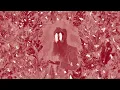 Iron & Wine - In Your Ocean (Acoustic) [Official Visualizer]