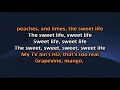 Frank Ocean - Sweet Life (Karaoke / Instrumental)