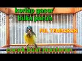 Download Lagu masteran kolibri kelapa gacor buka paruh full tembakan