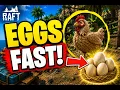 How To Get Eggs in Raft Quick Guide