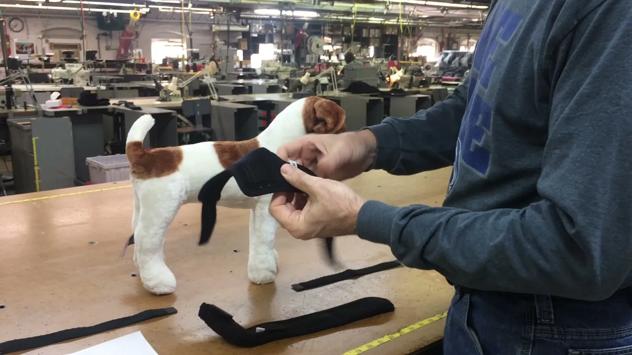 How to fit an elbow sleeve to protect a dog from elbow hyromas and calluses