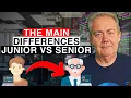 Senior Developers vs Junior Developers What s The Difference