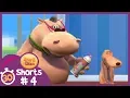 Download Lagu Pat and Stan | 30 Min | Spray On | Shorts Compilation #4 | Cartoons for Children