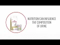 Why Urinary care shouldn t disappear with the symptoms Discover ROYAL CANIN Urinary for dogs
