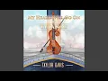 Download Lagu My Heart Will Go On [from \