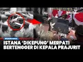 Download Lagu Dibalik 'Kepungan' Burung Merpati di Istana Merdeka saat Upacara 17 Agustus