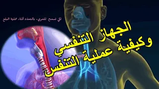 الجهاز التنفسي وكيفية حدوث عملية التنفس داخل جسم الإنسان 