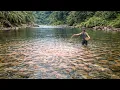 Lagu Primitive Fish Farming: How to Start a Fish Farm from Scratch, Breed \u0026 Raise Millions of Fry