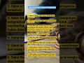 Download Lagu Macam-macam Saksi dalam Persidangan di Pengadilan