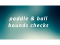 Bounds Checks