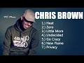 Download Lagu CHRIS BROWN BEST SONG